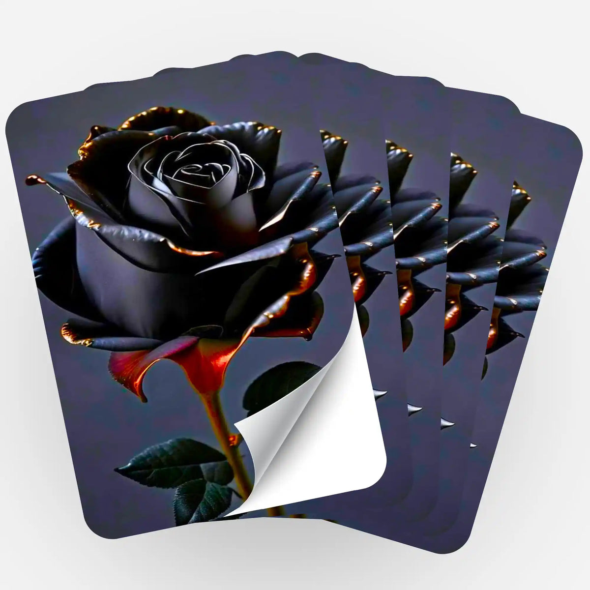 Fünfer-Set Aufkleber Black Rose zur Organisation von Diamond Painting und Malen nach Zahlen Zubehör