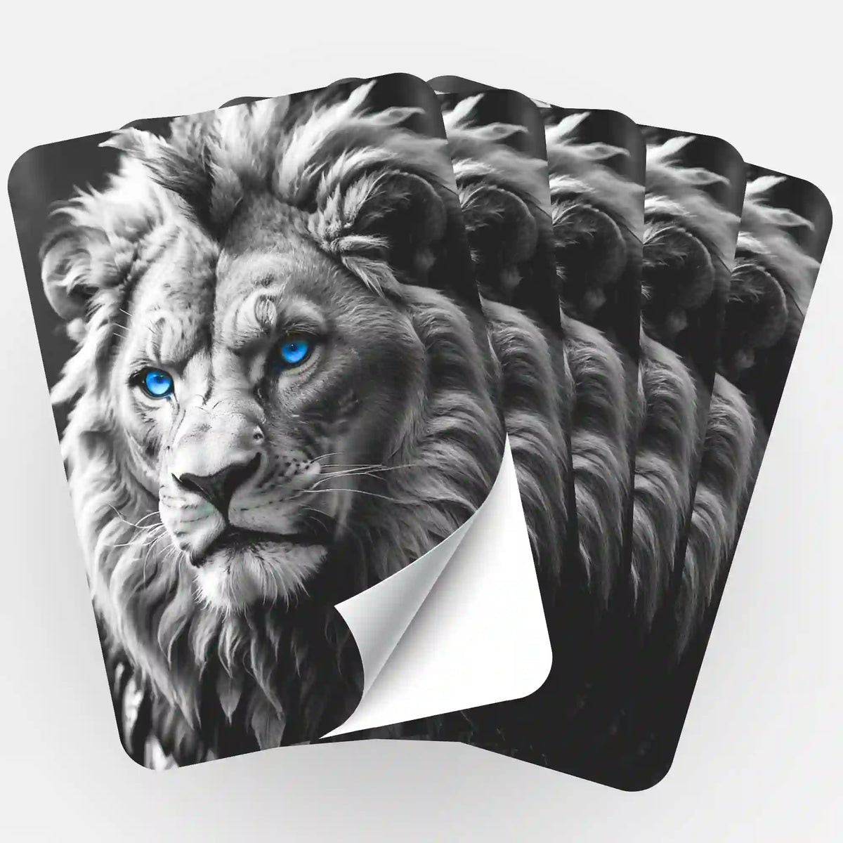 5er-Set Löwe Sticker zur Organisation von Diamond Painting und Malen nach Zahlen Bastelsets
