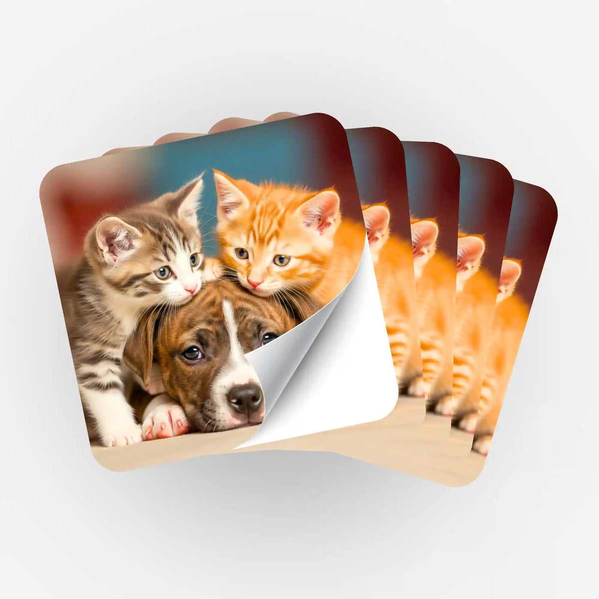 Fächerförmiges 5er-Set Sticker Friends for Life mit Hund und Kätzchen für Diamond Painting Organisation