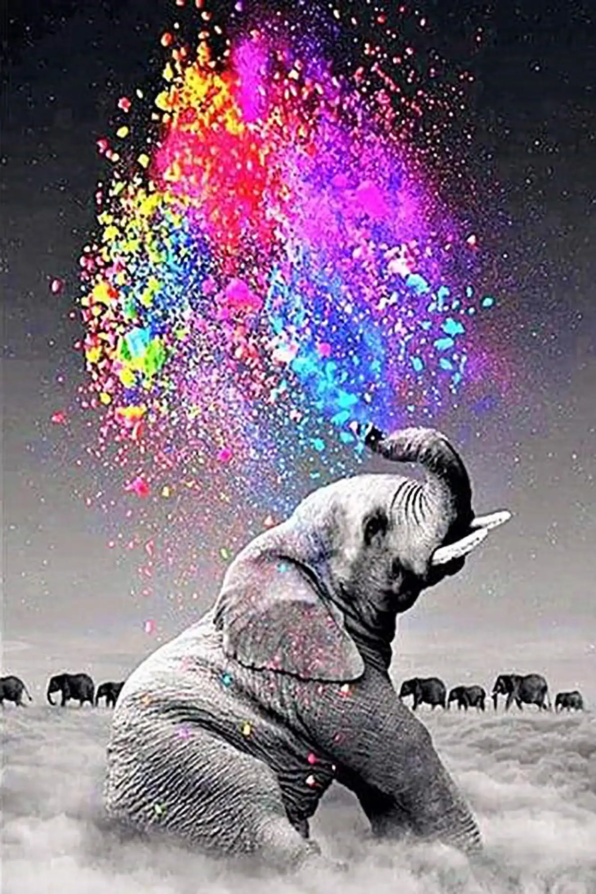 Diamond Painting Set Elefant Farbenspiel mit bunten 5D Diamanten auf schwarz-weißem Motiv, 30x45cm DIY Kunstwerk