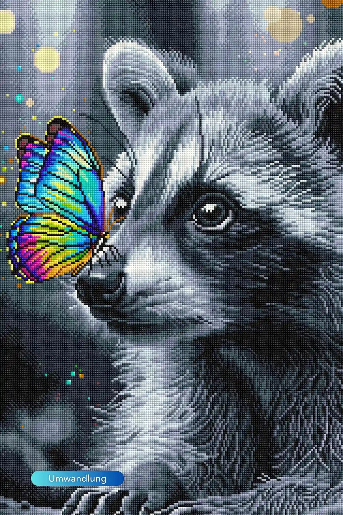 Diamond Painting Set Waschbär mit buntem Schmetterling auf der Nase im schwarz-weißen Tierportrait-Stil