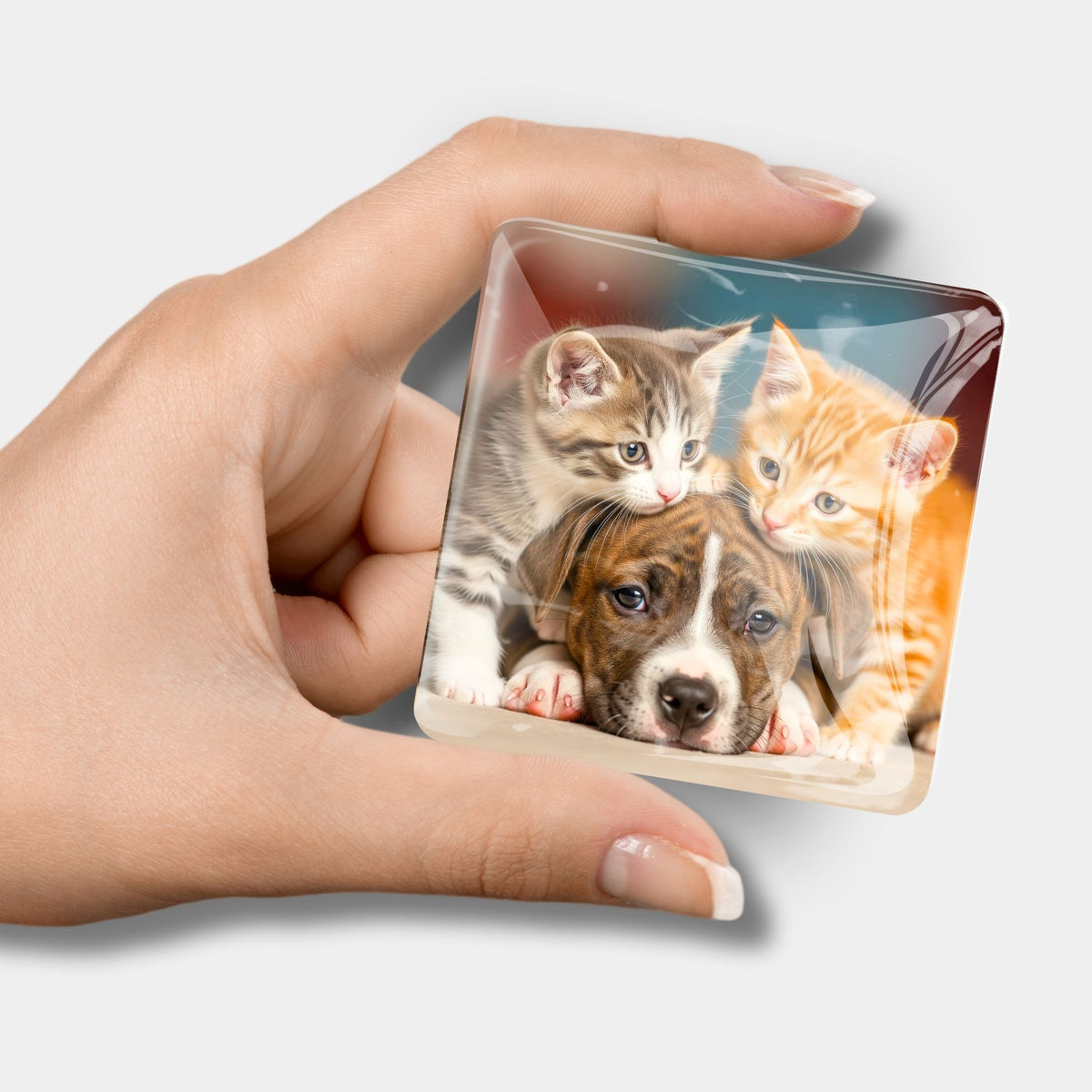 Glas Cover Minder mit süßem Welpen- und Katzen-Motiv als praktisches Diamond Painting Zubehör für das Bastel-Set.