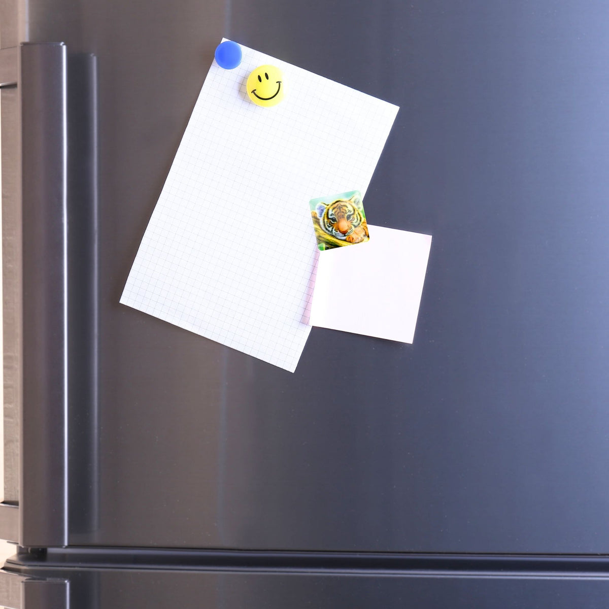 Tigerbaby Cover Minder aus Glas zur Fixierung bei Diamond Painting Projekten an einem Kühlschrank