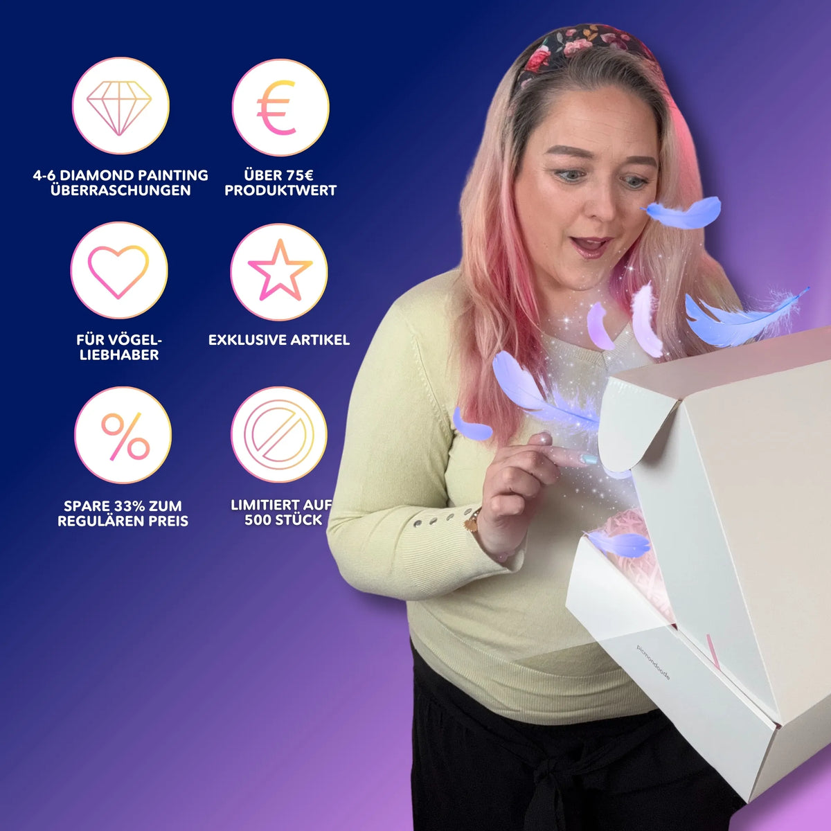 Diamond Painting Mystery Box Vögel mit exklusiven Überraschungen für kreative DIY-Fans und Vogelliebhaber