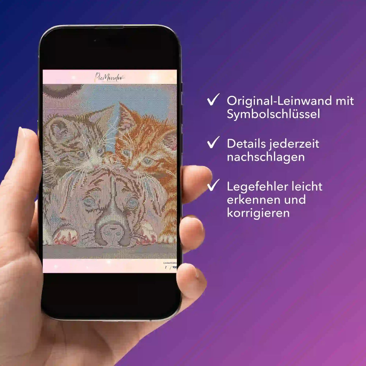 Digitale Bildmappe für Diamond Painting auf Smartphone mit Leinwand Motiv Friends for Life und Symbolschlüssel Details