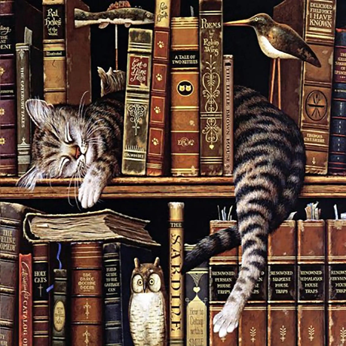 Diamond Painting Set Chillout Cat mit schlafender Katze in einem Bücherregal, 5D Diamanten Malerei Tier-Motiv